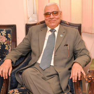 Abdelmonem Awad Mustafa Hegazy