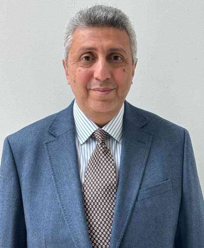 Mohamed M Hosni